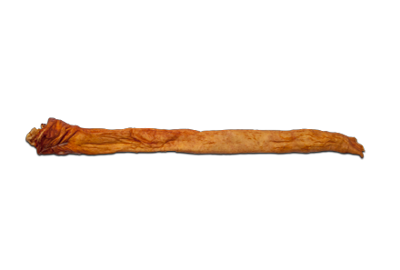 Svinjska crevca