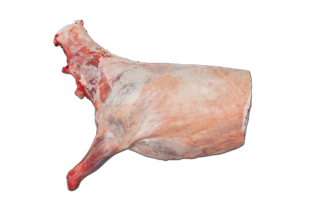 Četvrt jagnjeta sa plećkom